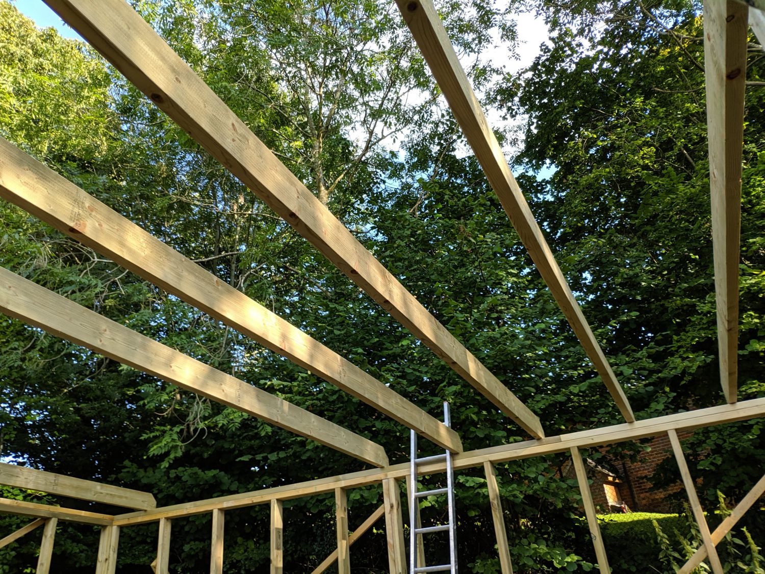 Framing the roof – Dominic Dale